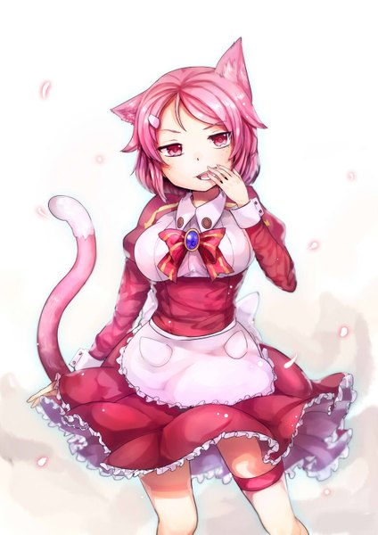 Anime picture 1100x1555 with sword art online a-1 pictures lisbeth lee jin byeol single tall image looking at viewer blush short hair open mouth simple background animal ears pink hair tail animal tail pink eyes cat ears cat girl cat tail girl