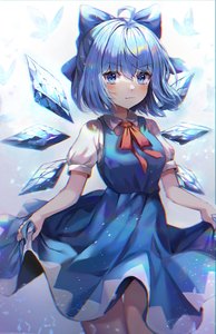 Anime picture 3076x4757