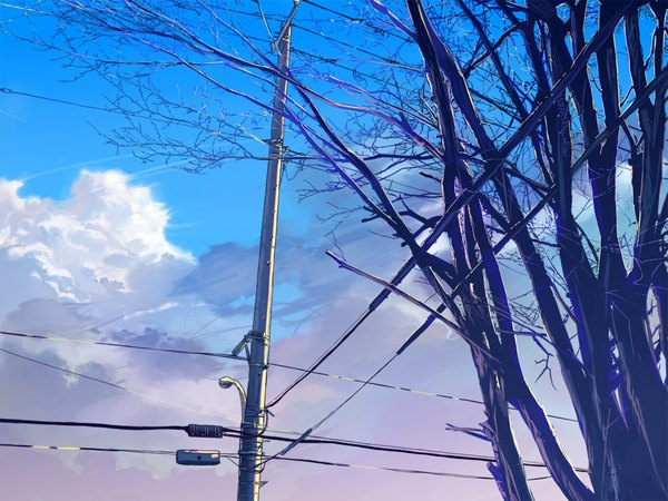Anime picture 1000x750 with original suchfolder sky cloud (clouds) plant (plants) tree (trees) wire (wires)