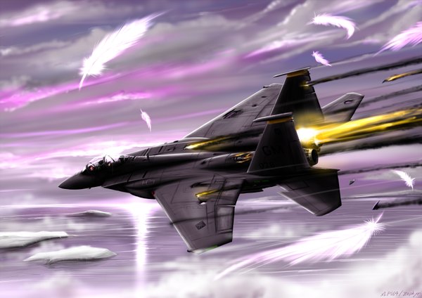 Anime picture 1600x1131 with ace combat zephyr164 highres sky scenic damage feather (feathers) aircraft airplane jet f-15