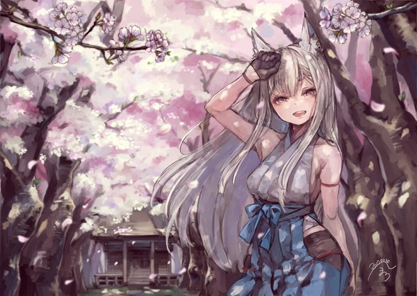 Anime picture 1406x1000 with original suzuno (bookshelf) single long hair fringe light erotic bare shoulders brown eyes signed animal ears outdoors traditional clothes japanese clothes wind grey hair fox ears cherry blossoms dated fox girl happy