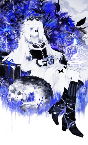Anime picture 900x1480 with original hachiretsu single long hair tall image looking at viewer blue eyes sitting holding bent knee (knees) white hair sunglasses on head white skin girl dress plant (plants) animal socks boots sunglasses