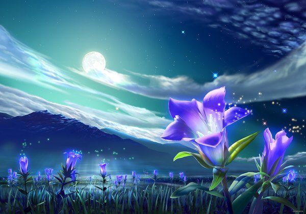 Anime picture 1600x1120 with original kagaya cloud (clouds) night night sky mountain no people fantasy scenic flower (flowers) moon star (stars) full moon