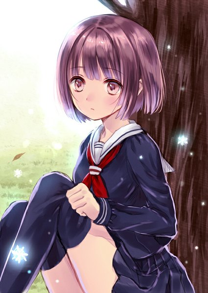 Anime picture 600x847 with original hanekoto single tall image blush fringe short hair sitting purple eyes looking away purple hair girl thighhighs uniform black thighhighs plant (plants) tree (trees) serafuku snowflake (snowflakes)