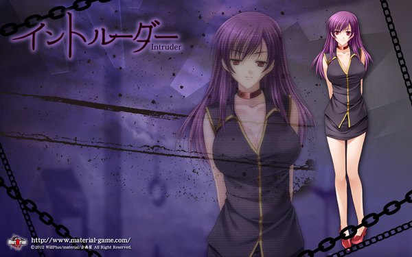 Anime picture 1920x1200 with intruder saeko yamamoto kazue long hair highres wide image standing purple eyes purple hair zoom layer girl skirt miniskirt collar