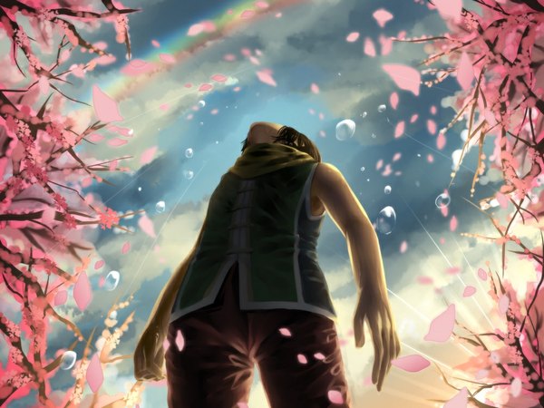 Anime picture 1000x750 with shin sangoku musou guan xing tagme (artist) single short hair standing sky cloud (clouds) from below sleeveless cherry blossoms looking up rain boy plant (plants) tree (trees) water drop rainbow
