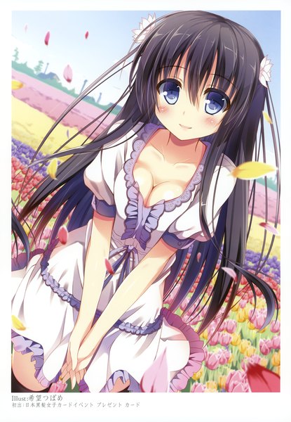 Anime picture 2406x3475 with original nozomi tsubame single long hair tall image looking at viewer blush highres blue eyes black hair smile cleavage scan girl thighhighs dress flower (flowers) black thighhighs petals