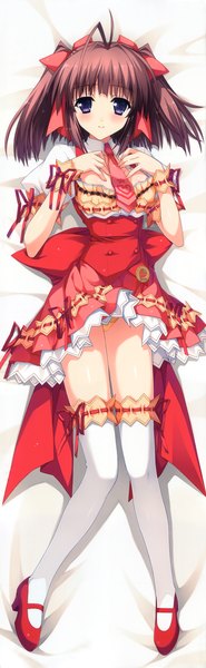 Anime picture 2288x7393 with berry's izuno youko kimizuka aoi single long hair tall image blush highres light erotic brown hair purple eyes pantyshot dakimakura (medium) girl thighhighs dress underwear panties bow hair bow