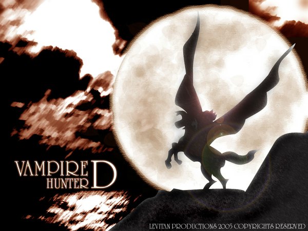 Anime picture 1024x768 with vampire hunter d d (vampire hunter d) tagme