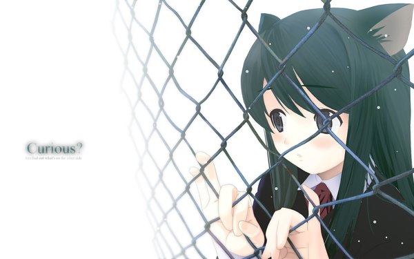 Anime picture 1920x1200 with highres wide image white background animal ears cat girl girl fence