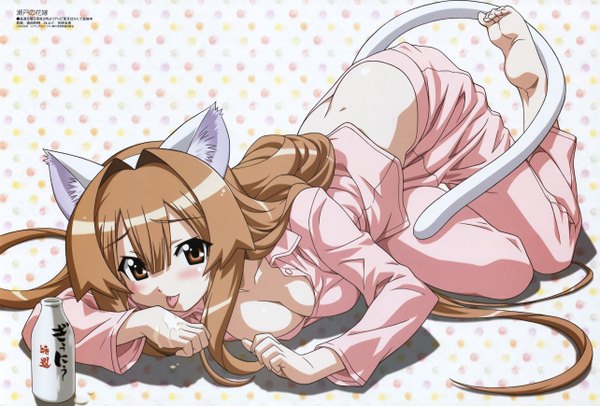 Anime picture 5130x3475 with seto no hanayome seto san highres animal ears cat ears cat girl girl