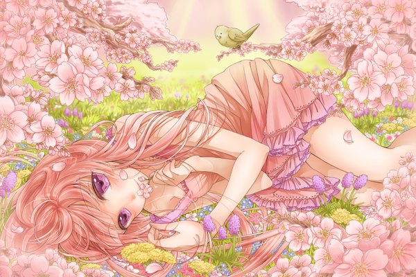 Anime picture 1635x1090 with original marchen noir single long hair looking at viewer purple eyes pink hair cherry blossoms girl dress flower (flowers) animal petals bird (birds)