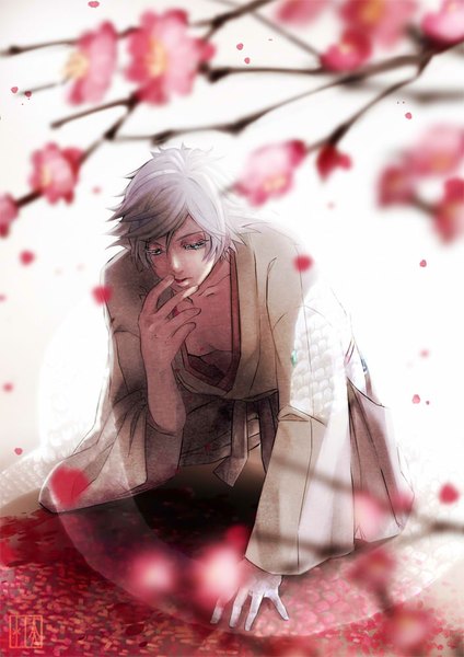 Anime picture 707x1000 with kamisama hajimemashita mizuki (kamisama hajimemashita) surume single tall image fringe short hair green eyes silver hair traditional clothes japanese clothes wide sleeves on all fours plum blossoms boy flower (flowers) petals branch