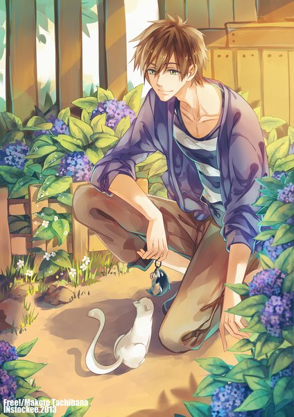 Anime picture 1061x1500 with free! kyoto animation tachibana makoto instockee single tall image short hair smile brown hair green eyes signed kneeling striped boy flower (flowers) animal cat key trinket