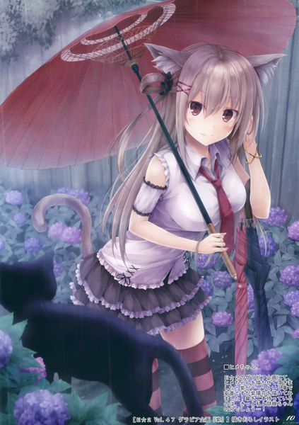 Anime picture 2325x3300 with original suien single long hair tall image looking at viewer blush fringe highres hair between eyes brown hair brown eyes animal ears tail animal tail cat ears scan cat girl cat tail zettai ryouiki