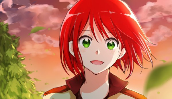 Anime picture 1250x720 with akagami no shirayukihime studio bones shirayuki (akagami no shirayukihime) hinomiya22 single looking at viewer fringe short hair open mouth smile wide image green eyes sky cloud (clouds) outdoors red hair wind evening girl plant (plants)