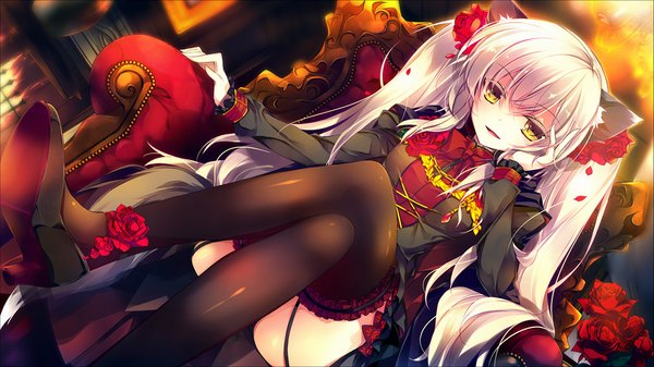 Anime picture 1000x563 with original minazuki haruka single long hair light erotic wide image twintails animal ears yellow eyes white hair hair flower crossed legs head rest girl thighhighs dress hair ornament flower (flowers) black thighhighs petals