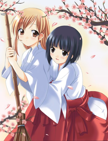 Anime picture 2399x3114 with maria-sama ga miteru studio deen toudou shimako nijou noriko souryuu (double dragon) long hair tall image looking at viewer highres short hair black hair brown hair multiple girls brown eyes traditional clothes scan cherry blossoms miko girl 2 girls