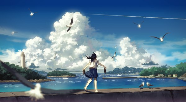 Anime picture 1125x620 with original amemura single long hair black hair wide image standing holding sky cloud (clouds) barefoot bare legs shadow back flying walking girl skirt plant (plants) animal