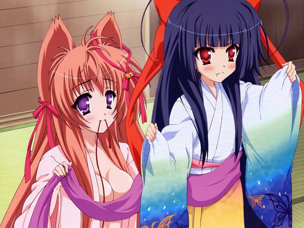 Anime picture 1600x1200 with tayutama lump of sugar mito mashiro nue (tayutama) noda megumi (artist) long hair blush breasts light erotic red eyes brown hair purple eyes multiple girls holding animal ears blue hair traditional clothes japanese clothes mouth hold girl