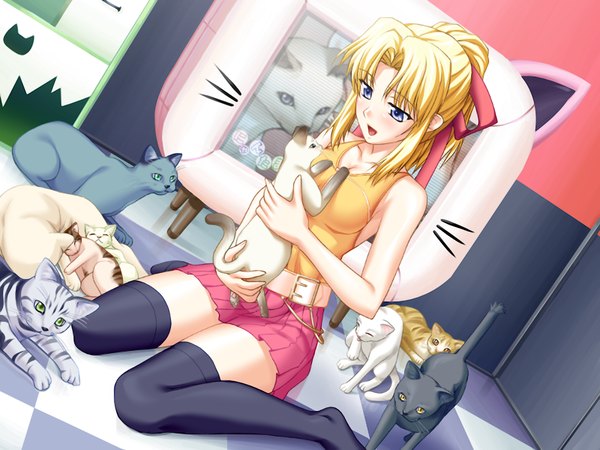Anime picture 1200x900 with blue eyes blonde hair game cg ponytail girl thighhighs black thighhighs cat
