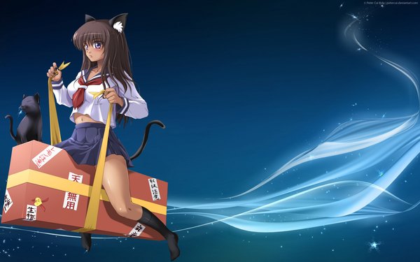 Anime picture 1680x1050 with long hair black hair wide image purple eyes animal ears cat ears cat girl cat tail blue background abstract riding girl animal socks serafuku cat