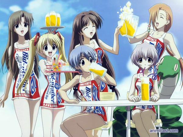 Anime picture 1024x768 with happy lesson budweiser ichimonji mutsuki ninomai kisaragi sanzein yayoi shitenno uzuki gokajo satsuki yazakura hazuki long hair short hair blonde hair brown hair sitting multiple girls brown eyes yellow eyes blue hair sky silver hair red hair