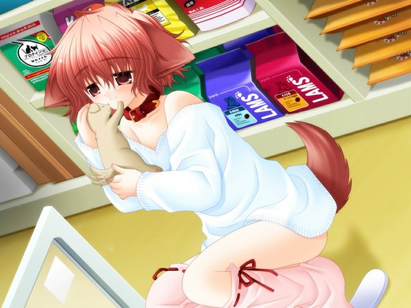 Anime picture 1024x768 with pure pure hinata sakurazawa izumi fringe short hair hair between eyes red eyes animal ears game cg red hair indoors tail animal tail from above off shoulder shadow dog ears dog tail dog girl girl