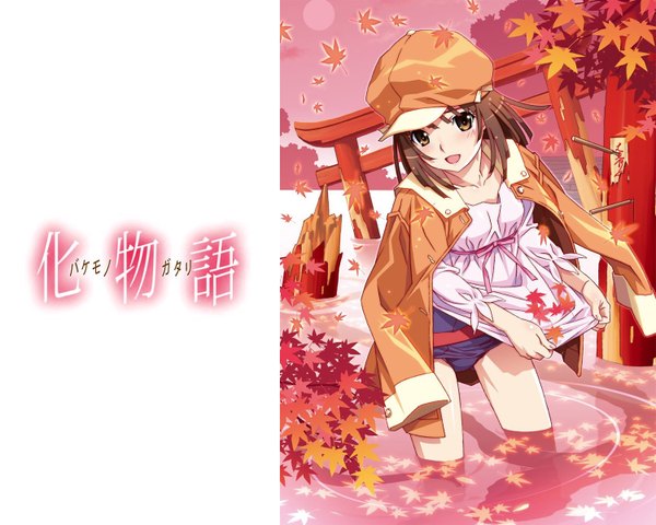 Anime picture 1500x1200 with bakemonogatari shaft (studio) monogatari (series) sengoku nadeko watanabe akio single long hair looking at viewer blush open mouth light erotic brown hair brown eyes wallpaper copyright name partially submerged clothes on shoulders girl water leaf (leaves)