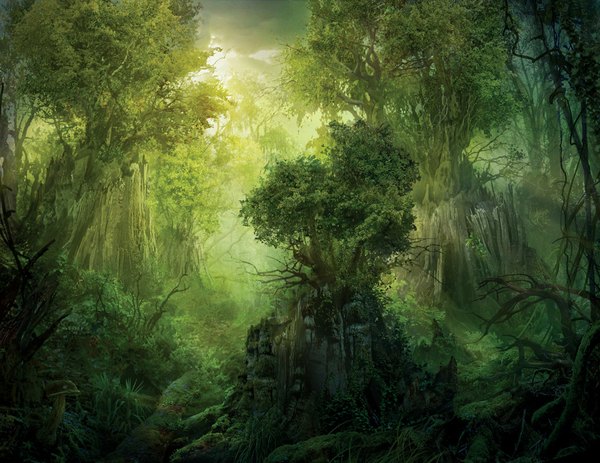 Anime picture 1148x887 with philipstraub (artist) wallpaper landscape nature plant (plants) tree (trees) forest