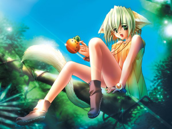 Anime picture 2058x1545 with carnelian highres animal ears sky teeth cat girl fang (fangs) girl