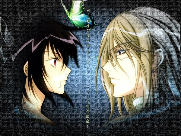 Anime picture 1024x768 with loveless j.c. staff aoyagi ritsuka agatsuma soubi short hair black hair blonde hair purple eyes animal ears face to face boy glasses insect butterfly