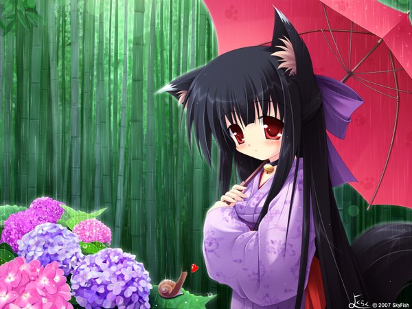 Anime picture 1600x1200 with japanese clothes cat girl girl kimono tsubasa tamago