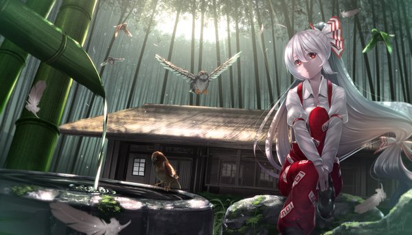 Anime picture 1575x900 with touhou fujiwara no mokou ryosios looking at viewer fringe red eyes wide image sitting bent knee (knees) ponytail very long hair grey hair sunlight flying sunbeam bamboo forest girl bow plant (plants) hair bow