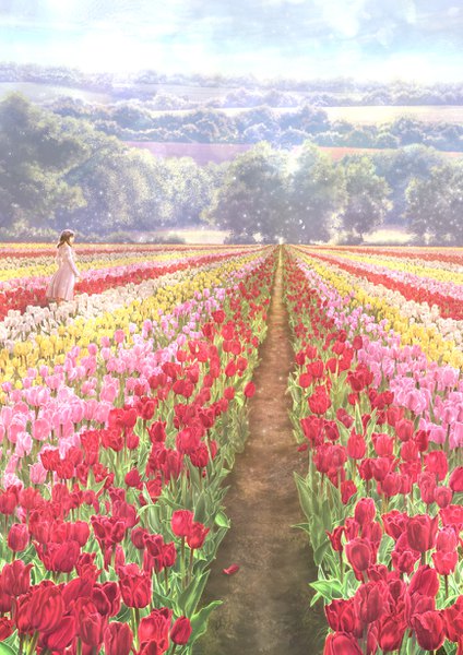 Anime picture 868x1228 with original kun52 single long hair tall image brown hair landscape walking nature girl flower (flowers) plant (plants) tree (trees) flower field tulip