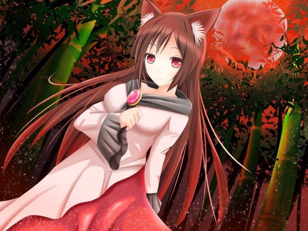 Anime picture 1200x900 with touhou imaizumi kagerou deeshima single long hair looking at viewer red eyes brown hair animal ears red moon girl dress plant (plants) bamboo