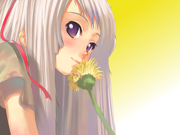 Anime picture 1600x1200 with simple background purple eyes white hair girl flower (flowers) ribbon (ribbons) dandelion