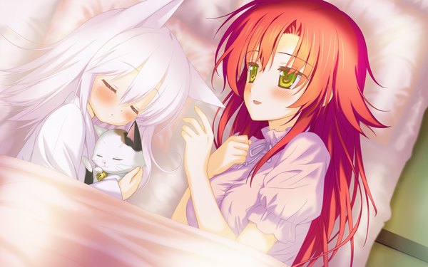 Anime picture 2048x1280 with irotoridori no sekai minami kana (irotoridori) ren (irotoridori no sekai) shida kazuhiro long hair blush highres short hair wide image multiple girls animal ears yellow eyes game cg white hair red hair eyes closed loli sleeping girl 2 girls