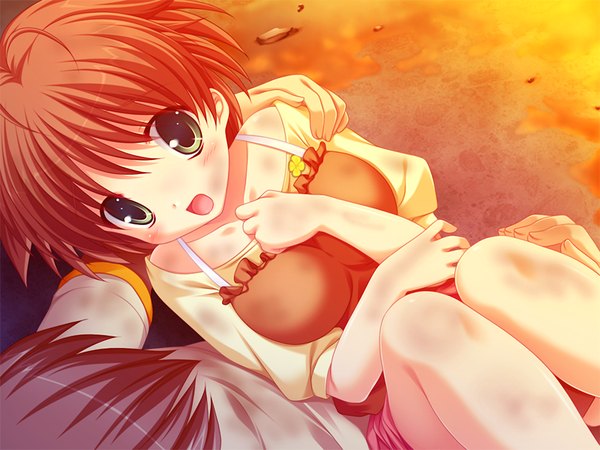 Anime picture 1024x768 with marguerite sphere midorikawa nanohana yuyi blush short hair open mouth brown hair green eyes game cg from above carrying princess carry dirty girl boy