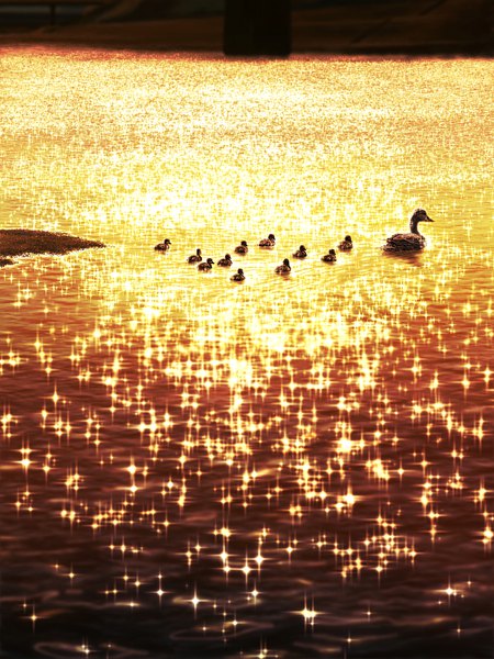 Anime picture 768x1024 with original kun52 tall image sunlight sparkle lens flare evening no people scenic nature lake animal water bird (birds) duck