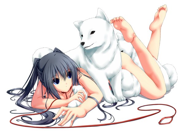 Anime picture 1200x857 with original shouyan single long hair blue eyes light erotic black hair white background barefoot nude bare legs animal dog lead