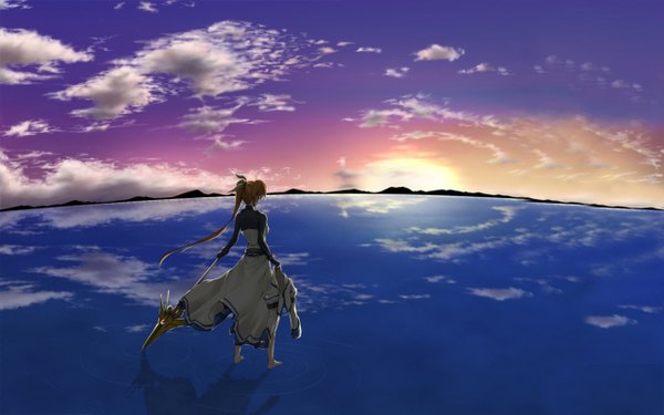 Anime picture 1280x800 with mahou shoujo lyrical nanoha takamachi nanoha long hair blonde hair wide image sky cloud (clouds) from behind horizon girl
