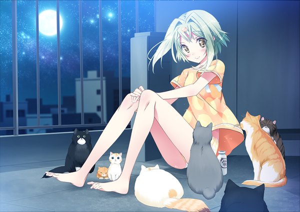 Anime picture 1024x725 with friends (game) kamiya maneki blush short hair smile yellow eyes game cg barefoot green hair night girl hair ornament cat sundress