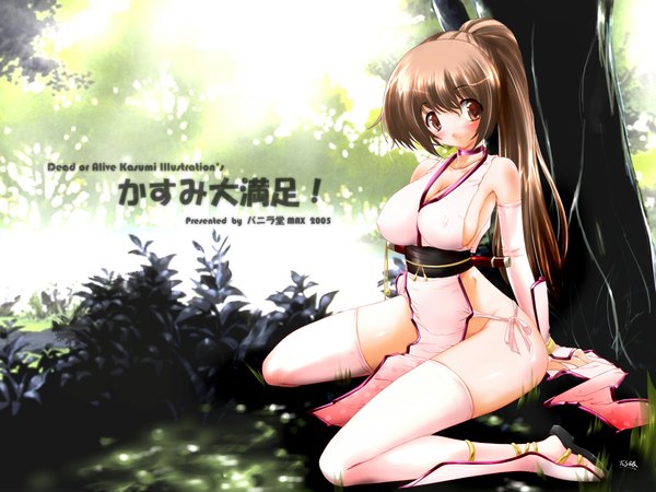 Anime picture 1365x1024 with dead or alive kasumi (doa) single long hair looking at viewer blush light erotic brown hair sitting brown eyes outdoors ponytail sideboob wariza covered nipples third-party edit against tree girl thighhighs plant (plants)