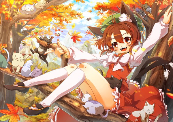Anime picture 2000x1414 with touhou chen ikeda p-rou blush highres short hair open mouth red eyes brown hair animal ears cat ears cat girl cat tail loli girl dress plant (plants) animal tree (trees) cat