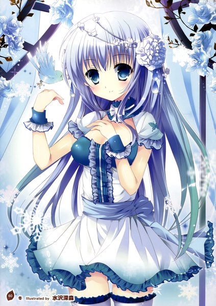 Anime picture 2541x3600 with girls, girls, girls! 10 (artbook) mizusawa mimori single long hair tall image looking at viewer blush highres blue eyes blue hair hair flower scan official art girl dress hair ornament flower (flowers) animal frills bird (birds)