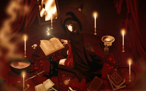 Anime picture 2560x1600 with caucasus nanatsuki venio cilou (artist) single highres short hair black hair wide image sitting black eyes witch girl thighhighs weapon black thighhighs rose (roses) book (books) cat witch hat bottle