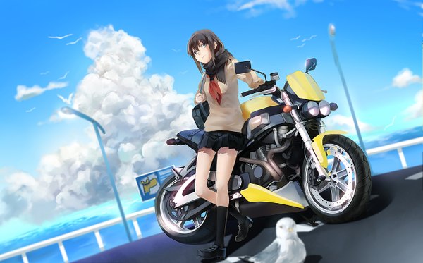 Anime picture 1269x790 with original rff (3 percent) single short hair blue eyes black hair smile wide image standing looking away sky cloud (clouds) pleated skirt girl skirt uniform school uniform animal water socks