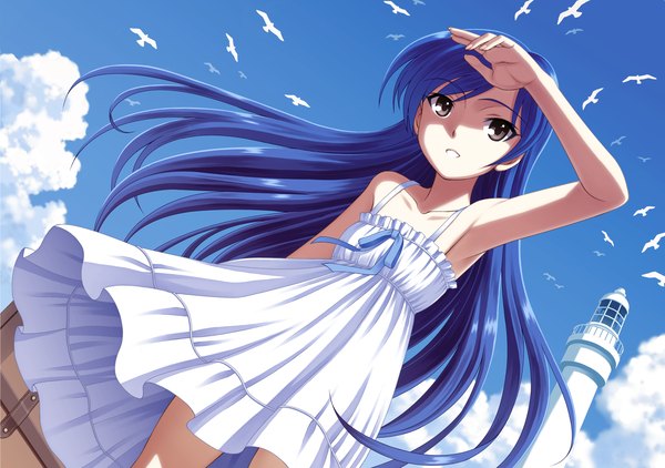 Anime picture 2480x1748 with idolmaster kisaragi chihaya nokia (harusion) single long hair highres blue hair sky cloud (clouds) black eyes girl animal bird (birds) sundress