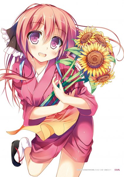 Anime picture 1440x2048 with nozomi tsubame single long hair tall image looking at viewer blush open mouth white background purple eyes pink hair scan girl flower (flowers) socks white socks sunflower
